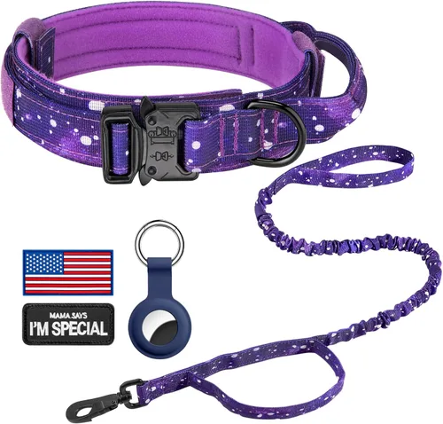 Vista 42 de DAGANXI - Collar táctico para perro, collar ajustable de nailon para adiestramiento con asa de control y hebilla, para perros medianos y grandes