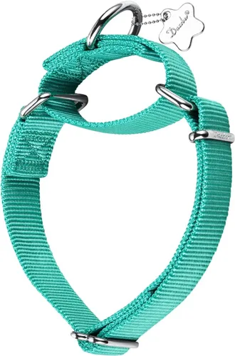 Vista 15 de Martingale collares para perros, ajustable, durable, color sólido, de nylon, Collar para perro grande, mediano y pequeño, por Dazzber, Rosado