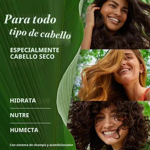 Vista 2 de Herbal Essences bio:renew Acondicionador hidratante de leche de coco, 13.5 fl oz