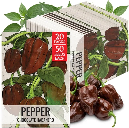Vista 111 de Seed Needs - Semillas de pimiento arcoíris para plantar verduras, 1 paquete