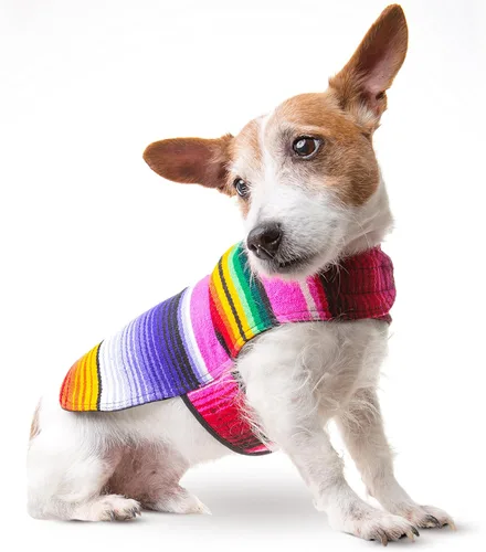 Vista 9 de Poncho de perro hecho a mano de Authentic Mexican Blanket; ropa para perros, suéter, abrigo, XXS