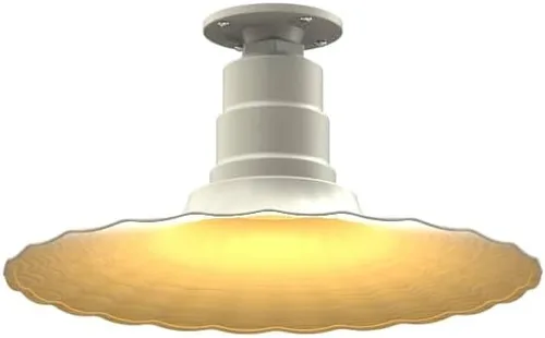 Vista 41 de Steel Lighting Co. Colgante Eagle Rock Lámpara montada en el techo Onda radial de 16 pulgadas vástago de 12 pulgadas Acero resistente