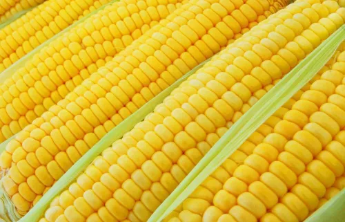 Vista 11 de Semillas de huerto para plantar - Cultiva verduras tradicionales (pimienta de 5 colores)