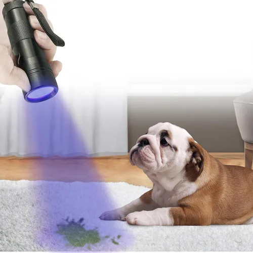 Vista 3 de JOR Mini linterna UV con pilas AAA, detector de manchas de mascotas