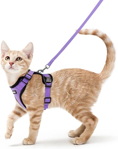 Vista 40 de rabbitgoo Cat Harness and Leash Set, Escape Proof Vest, XXS, Berry Pounce Soft Breathable Mesh, No-choke Adjustable Fit, Snap Buckles, Sturdy