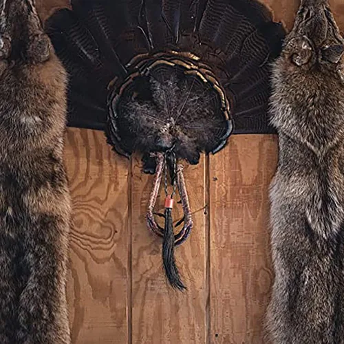 Vista 4 de Percha para barba de pavo The Shotty DIY Taxidermia (rojo)