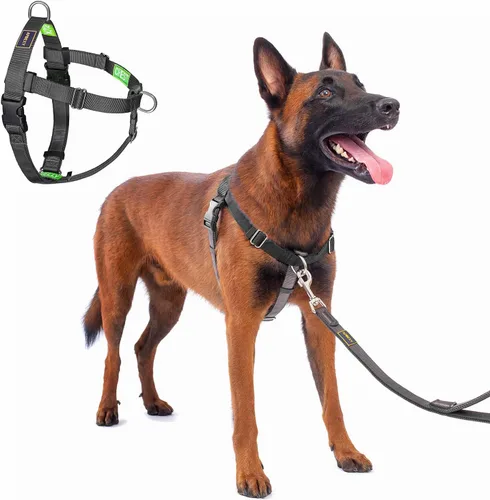 Vista 11 de Freedom - Arnés para perro sin tirones, fácil de caminar, deja de tirar con dos anillos en D de acero inoxidable, cómodo, etiquetas de instrucciones