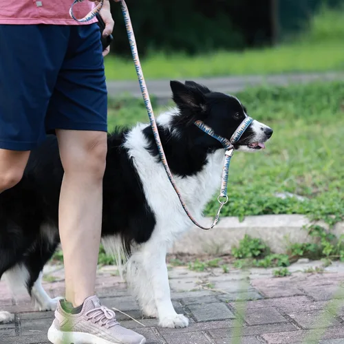 Vista 6 de BARKLESS Collar de cabeza de perro, halter impreso antitirones con correa Arnés de hocico suave con clip ajustable para entrenamiento de correa
