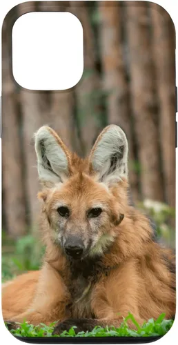 Vista 25 de Funda para iPhone 13 Pro Max Maned Wolf