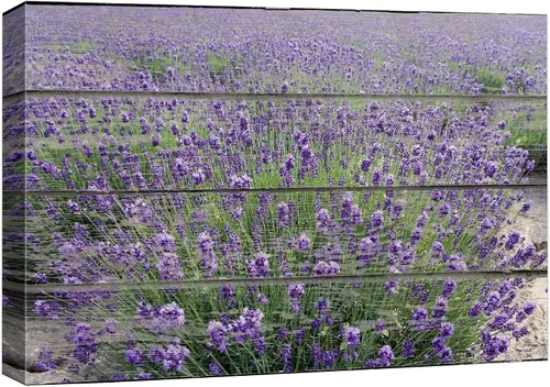 Vista 22 de Wall26 - Lienzo decorativo para pared - Decoración moderna para el hogar