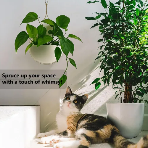 Vista 3 de Hajia Maceta colgante en forma de gota de agua, colgador de plantas de metal con maceta no desmontable, soporte para plantas colgantes