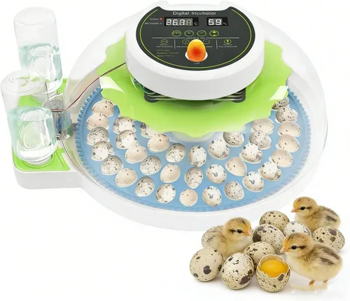 Vista 10 de Incubadora de huevos de codorniz para incubar 33 huevos de codorniz con girador automático y control de humedad, criador de codornices pequeñas