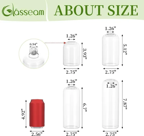 Vista 3 de Florero de cristal Glasseam para centros de mesa: 12 piezas pequeño florero a granel For Single Rose, Stem, Modern Minimalis, Clear Table