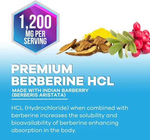 Vista 7 de Berberine HCL Blend 1200mg por porción – Alta absorción, suplemento de berberina extra fuerte – Salud avanzada del corazón y apoyo inmunológico