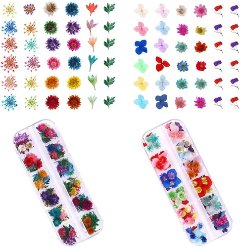 Vista 4 de 216 piezas de flores secas - Kits de accesorios de arte de uñas, para moldes de resina y uñas