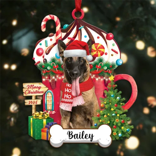 Vista 59 de Akita1 - Adorno personalizado para perro, adorno de perro con nombre personalizado, plano impreso en 2D, acrílico colgante, Papá Noel y perro