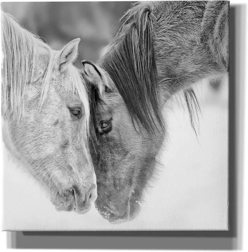 Vista 4 de Epic Graffiti BandW Horses VII de PH Burchett, lienzo para pared, 12.0 x 12.0 in