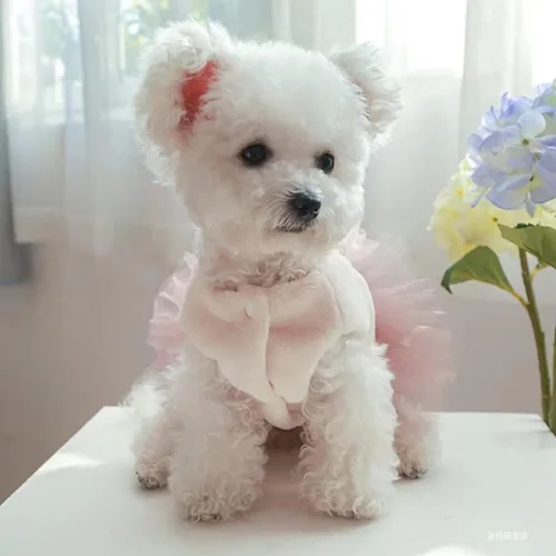 Vista 2 de Abrigo de invierno para perro, chaqueta acolchada para perro, camisas para perro, ropa impresa para mascotas, chalecos de falda de algodón en clima
