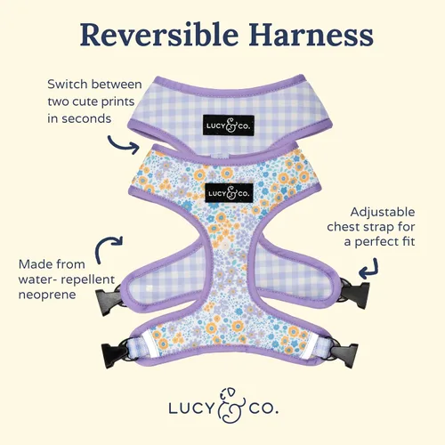 Vista 2 de Lucy & Co. Lindo arnés reversible para perros con cuello halter para caminar, el mejor diseño de arneses para mascotas XS a XL, chaleco acolchado