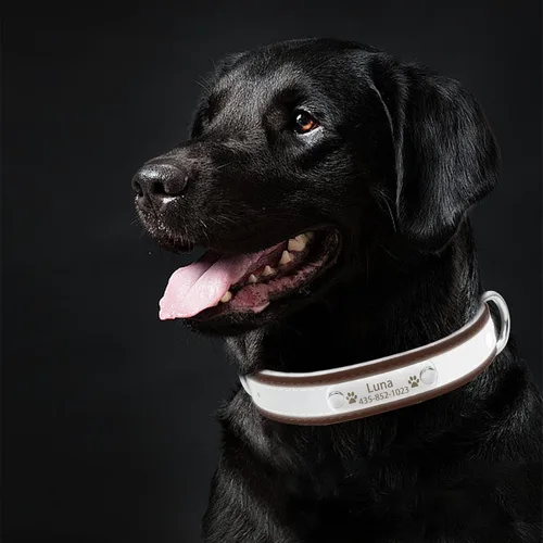Vista 4 de Collar de perro de cuero reflectante personalizado con forro cálido, collar de perro personalizado con placa de nombre grabada para perros y gatos