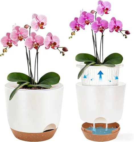 Vista 9 de Macetas de Orquídeas de Riego Automático para Plantas de Interior, 5.8 Pulgadas Macetas para Orquídeas, Macetas de Flores para Plantas