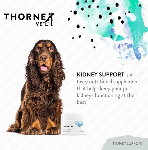 Vista 2 de ThorneVet Apoyo renal para perros y gatos - Fórmula en polvo para la salud renal - con Rehmannia, astrágalo, hongos y quitosano - 90 cucharadas