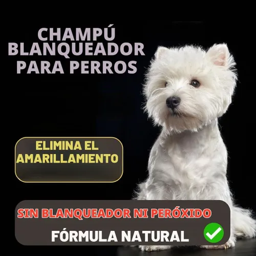 Vista 2 de KELEBS Barra de champú blanqueadora para perros con carbón Champú blanco para perros con ingredientes naturales para pieles sensibles 3 barras