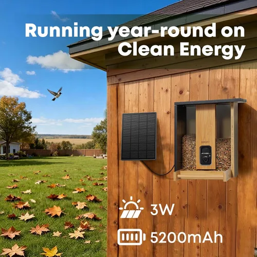 Vista 3 de NETVUE by Birdfy - Comedero inteligente para pájaros con cámara, alimentado por energía solar, vapor vivo de 2K y IA Identificación de especies