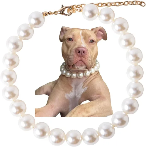 Vista 7 de Collar de perlas con cuentas para perro, hecho a mano, collar de perro elegante con campana, joyería para perros pequeños y cachorros
