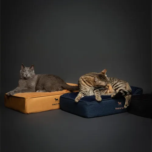 Vista 7 de NOAH & PAW Cama pequeña para perros, 20 x 15 x 6.5 pulgadas, cama para gatos de interior, espuma viscoelástica ortopédica de cáscara de huevo Verde