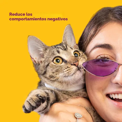 Vista 4 de Comfort Zone Paquete económico de collar calmante para gatos: 4 collares calmantes de 30 días para 120 días de calma