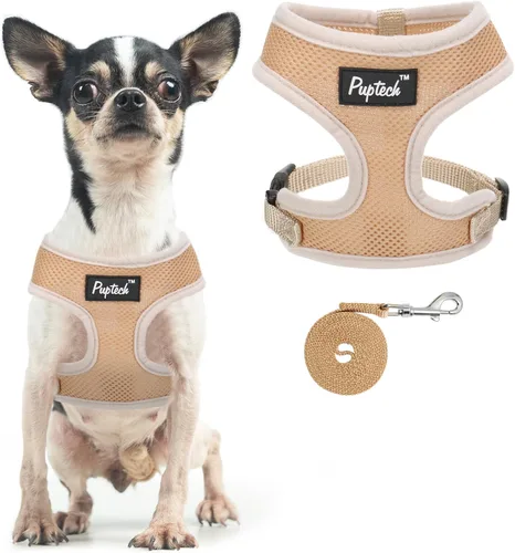Vista 77 de PUPTECK Juego de arnés y correa de malla suave para perro, cachorro y gato, cómodo chaleco acolchado sin tirones, azul Pascua, S