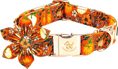 Vista 23 de Collar para perro Elegant little tail de otoño, collares para mascotas de Halloween con flor, lindo estampado de calabaza, collar para cachorro B