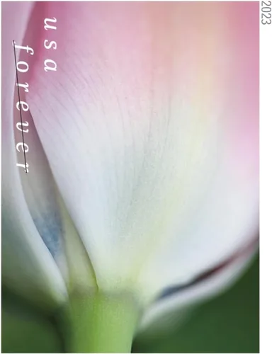 Vista 6 de USPS 2023 Tulip Blossom Forever - Sellos postales de primera clase (20 unidades)