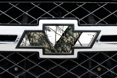 Vista 19 de Mossy Oak Graphics 14010-BI Break-Up Infinity Piel de emblema de auto, Blaze