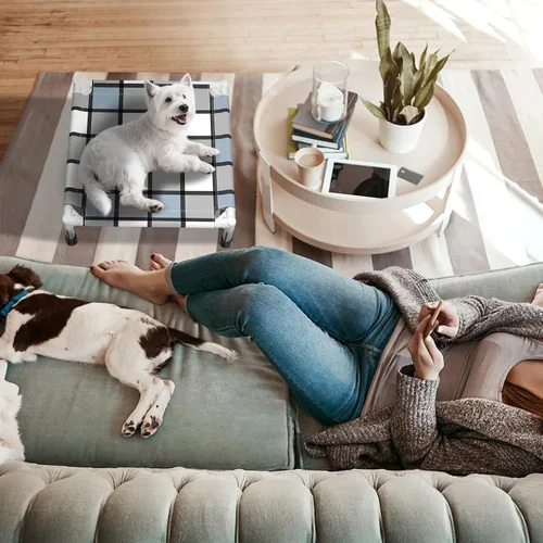 Vista 5 de Caghash Cama elevada para perros al aire libre, cama elevada para perros al aire libre, cama elevada para mascotas, cuna para el gusto