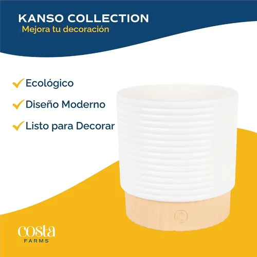 Vista 7 de Costa Farms Ficus Audrey, planta viva de interior de 1 a 2 pies de altura en maceta minimalista de 6 pulgadas, fácil de cultivar, purifica el aire