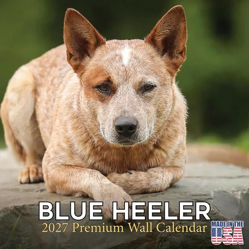 Vista 145 de Calendario de Lebrel Afgano 2025 2026, calendario mensual de pared de raza canina, 12" x 18" abierto, papel grueso sin traspaso, ideal para regalo