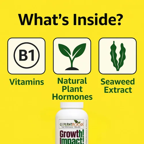 Vista 5 de Growth Impact - Solución vitamínica súper concentrada – GS Plant Foods Plant Liquid All Purpose Plant Nutrition Vitaminas y hormonas para todo tipo