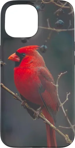 Vista 6 de Funda para iPhone 16 Cardinal Bird