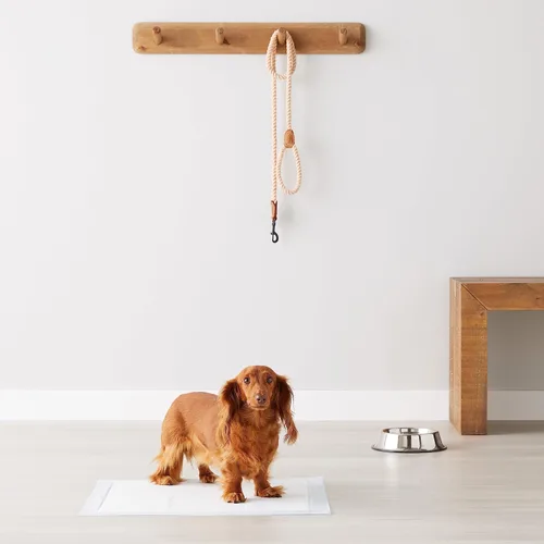 Vista 8 de Amazon Basics Almohadillas perfumadas para orinar para perros y cachorros, 5 capas a prueba de fugas, superabsorbentes, superficie de secado rápido