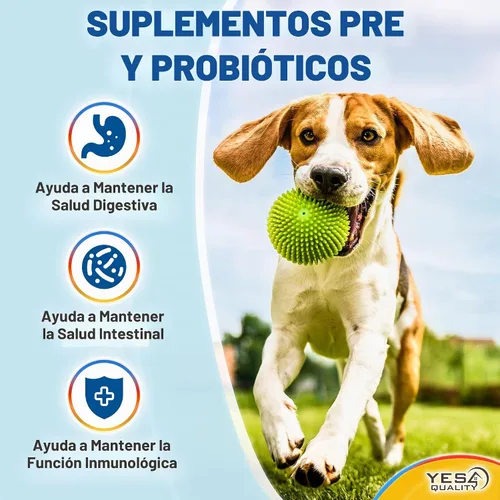 Vista 3 de Dog Probiotics, 120 tabletas prebióticas y probióticas con sabor a pollo