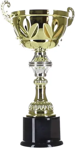 Vista 3 de Decade Awards Trofeo de Copa, Oro y Plata Premio de la Copa Corporativa de Metal Grabado - Personalizar Ahora