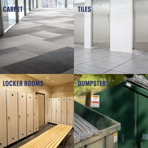 Vista 3 de Bioesque Advanced Eliminador de olores y manchas con enzimas, 32 onzas líquidas (paquete de 1)