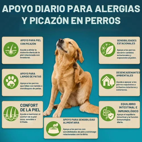 Vista 4 de Probióticos para perros, 200 probióticos suaves masticables para perros, salud digestiva, salud intestinal y sistema inmunológico, con 6 probióticos