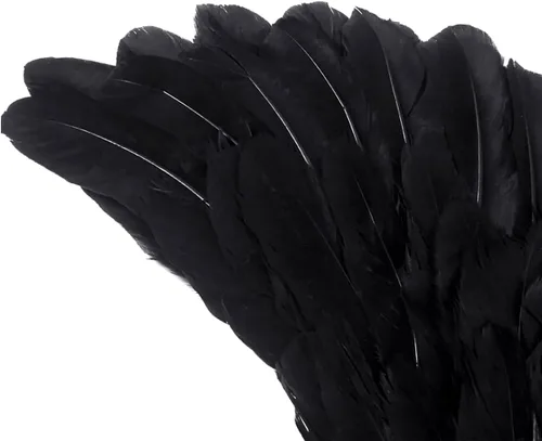 Vista 4 de SzJias Black Wings Angel Devil Fallen Feather Wings para niños Halloween