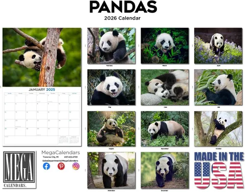 Vista 546 de Calendario de grises africanos 2025 2026 – Planificador mensual de pared de aves africanas – 12 x 18 pulgadas (abierto), calendario de pared