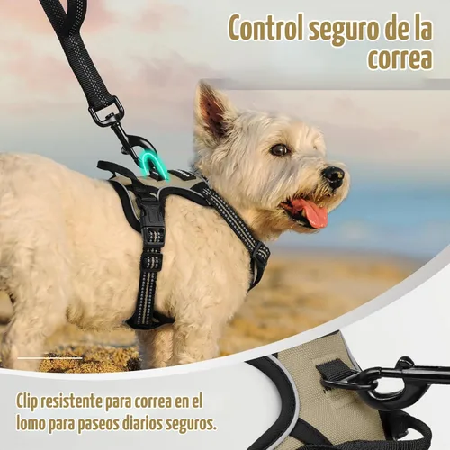 Vista 6 de Rabbitgoo - Arnés para perros sin tirón con 2 clips de correa, chaleco Oxford reflectante acolchado suave ajustable sin estrangulamiento