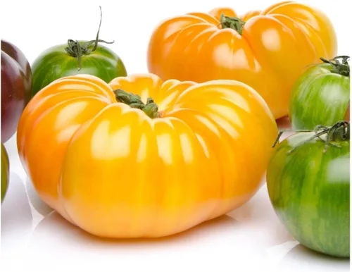 Vista 2 de Everwilde Farms - Semillas de tomate tradicionales de brandywine amarillo orgánico de 1 onza - Paquete Gold Vault