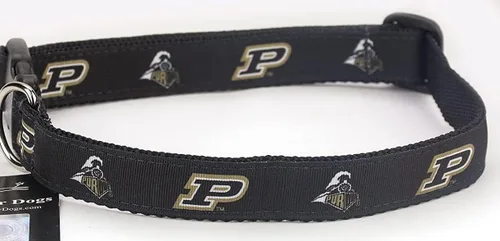 Vista 33 de Collar de Perro Universitario (Pequeño, Fuerza Aérea)